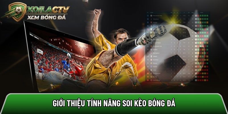 Tổng quan về danh mục soi kèo